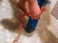 Scat gift wrapping
